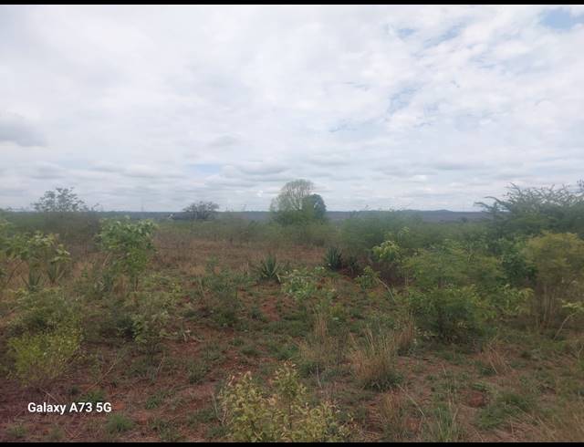 8,000M² VACANT LAND FOR SALE IN MUTOTI